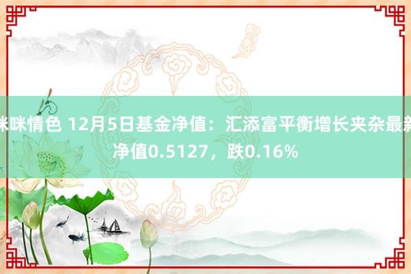 咪咪情色 12月5日基金净值：汇添富平衡增长夹杂最新净值0.5127，跌0.16%