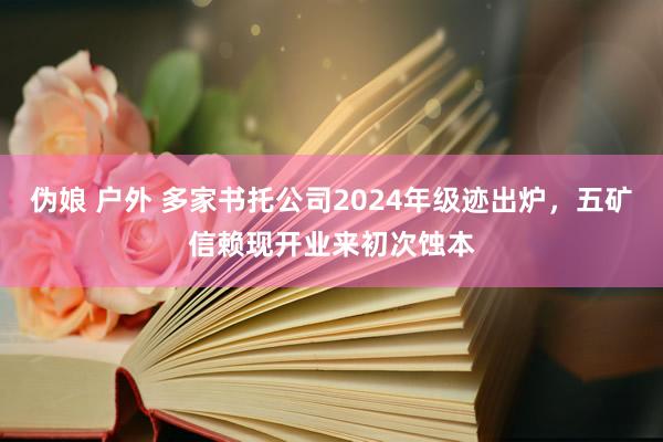 伪娘 户外 多家书托公司2024年级迹出炉，五矿信赖现开业来初次蚀本